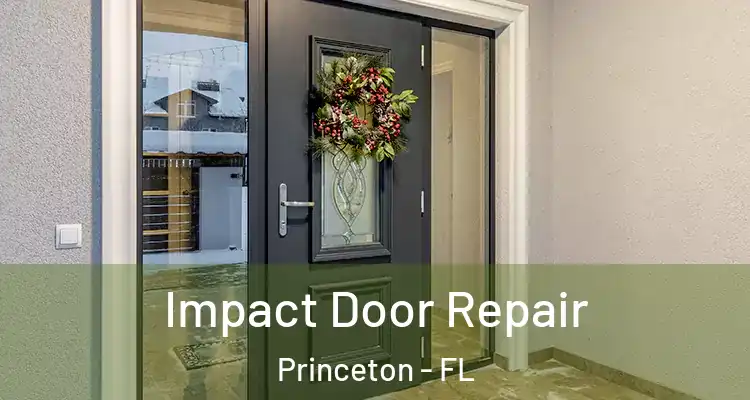  Impact Door Repair Princeton - FL