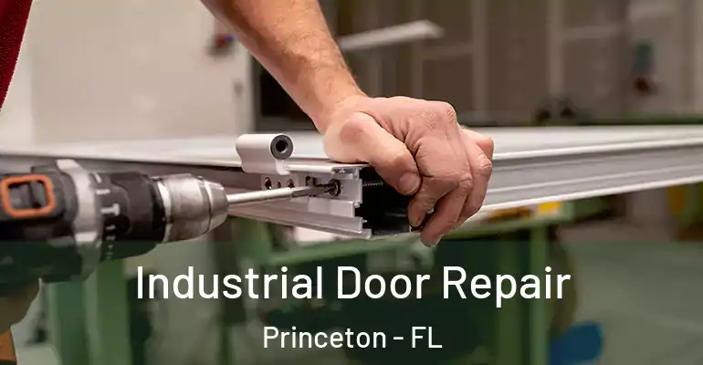  Industrial Door Repair Princeton - FL