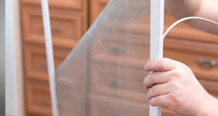 Privacy Mesh Screen Door Installation in Princeton, FL