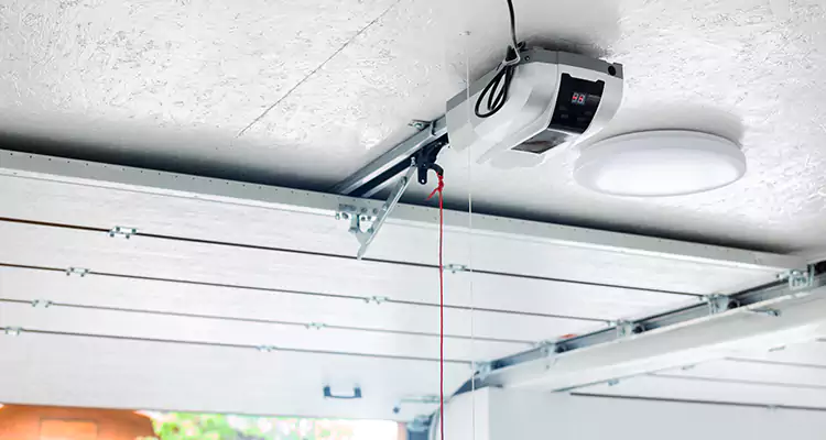 LiftMaster Garage Door Repair in Princeton, FL