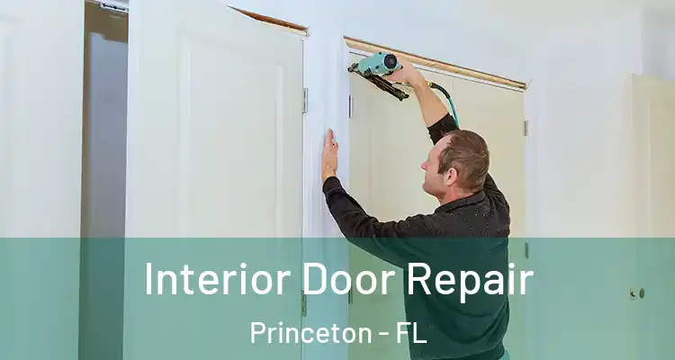  Interior Door Repair Princeton - FL