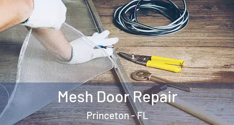  Mesh Door Repair Princeton - FL