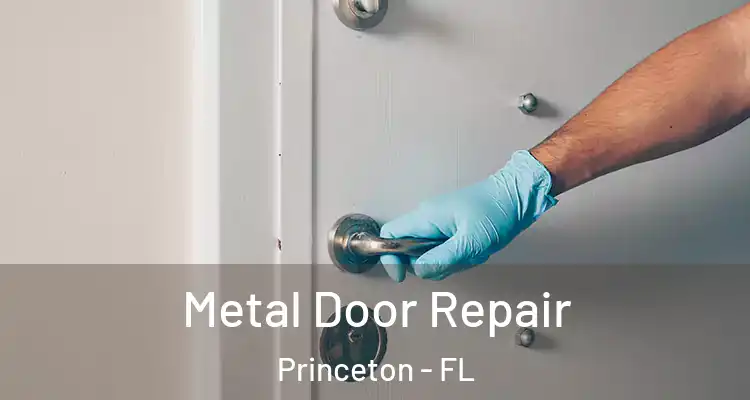  Metal Door Repair Princeton - FL