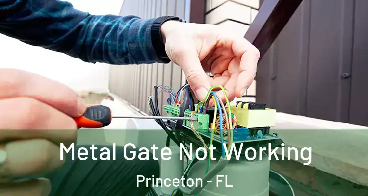  Metal Gate Not Working Princeton - FL