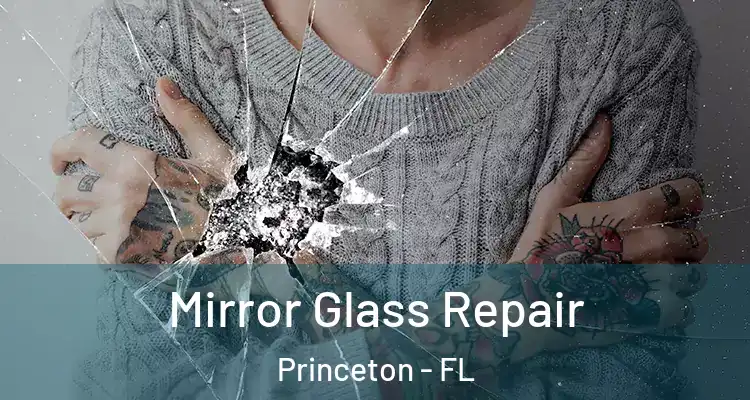  Mirror Glass Repair Princeton - FL