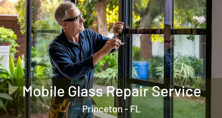  Mobile Glass Repair Service Princeton - FL
