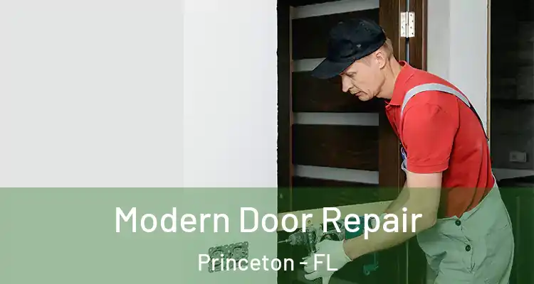  Modern Door Repair Princeton - FL