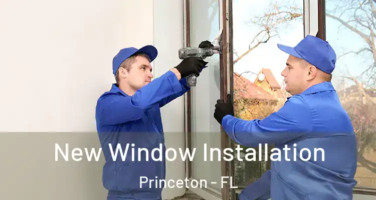  New Window Installation Princeton - FL