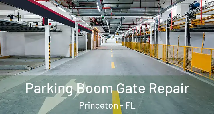  Parking Boom Gate Repair Princeton - FL
