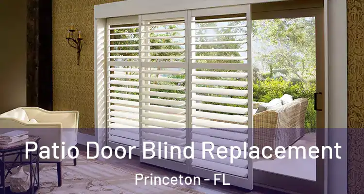  Patio Door Blind Replacement Princeton - FL
