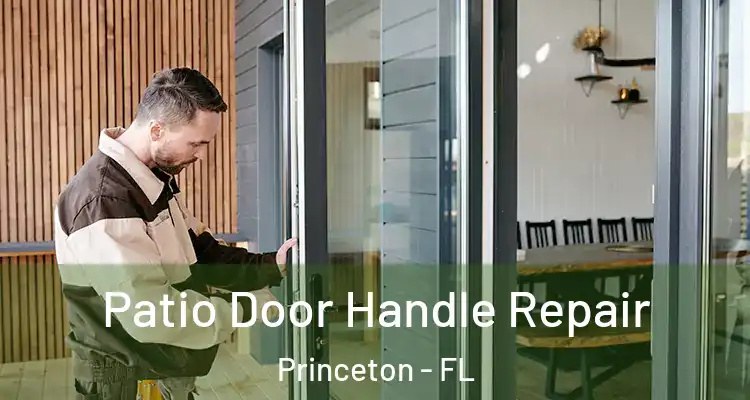  Patio Door Handle Repair Princeton - FL