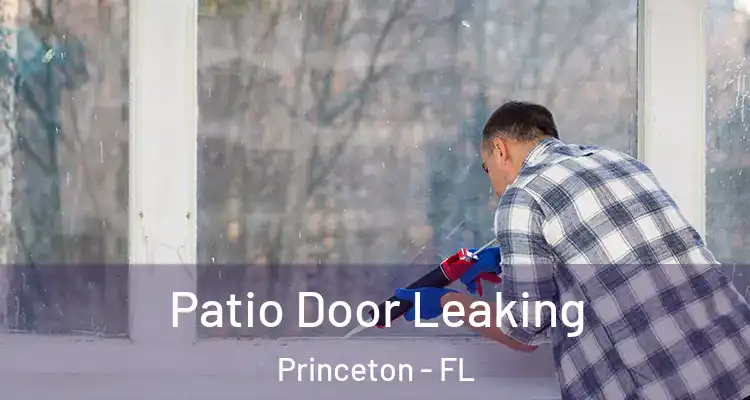  Patio Door Leaking Princeton - FL