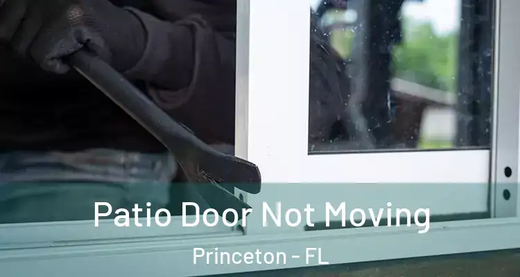  Patio Door Not Moving Princeton - FL