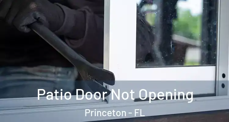  Patio Door Not Opening Princeton - FL