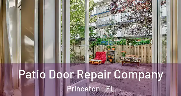  Patio Door Repair Company Princeton - FL