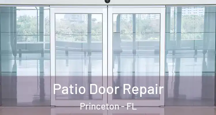  Patio Door Repair Princeton - FL