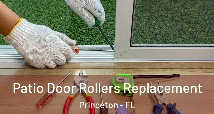 Patio Door Rollers Replacement Princeton - FL