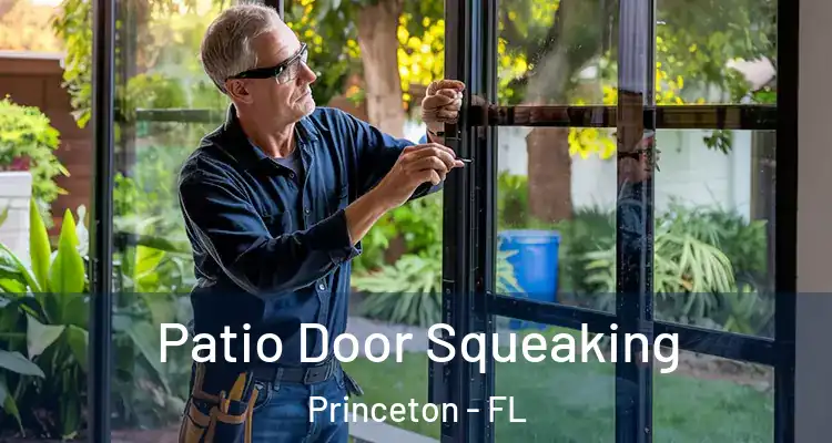  Patio Door Squeaking Princeton - FL