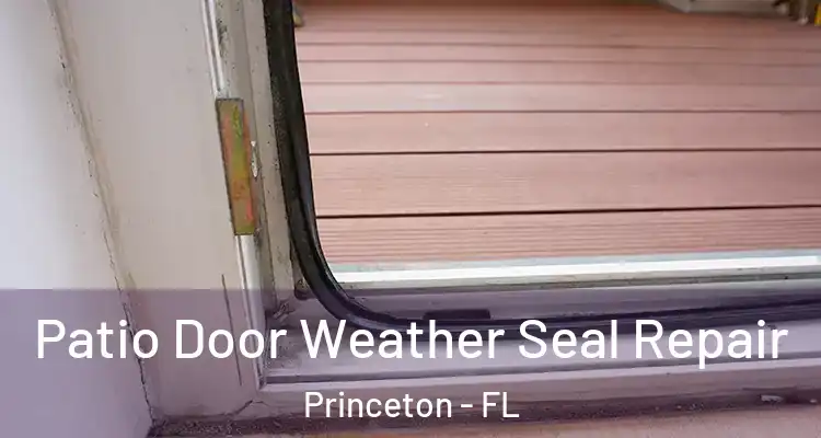  Patio Door Weather Seal Repair Princeton - FL