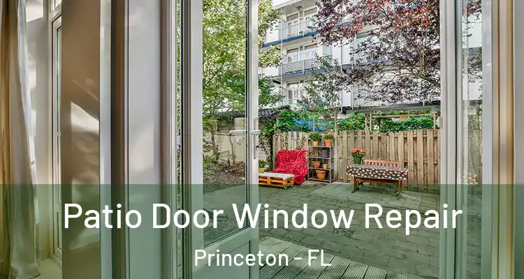  Patio Door Window Repair Princeton - FL