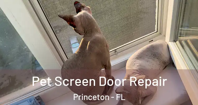  Pet Screen Door Repair Princeton - FL