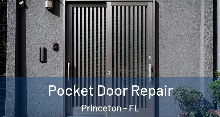  Pocket Door Repair Princeton - FL