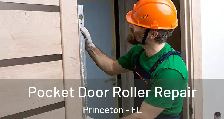  Pocket Door Roller Repair Princeton - FL