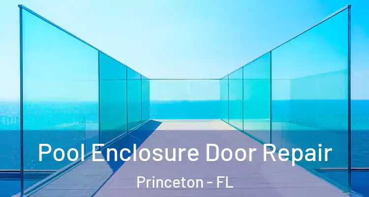 Pool Enclosure Door Repair Princeton - FL