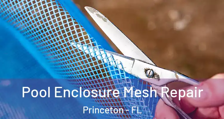  Pool Enclosure Mesh Repair Princeton - FL