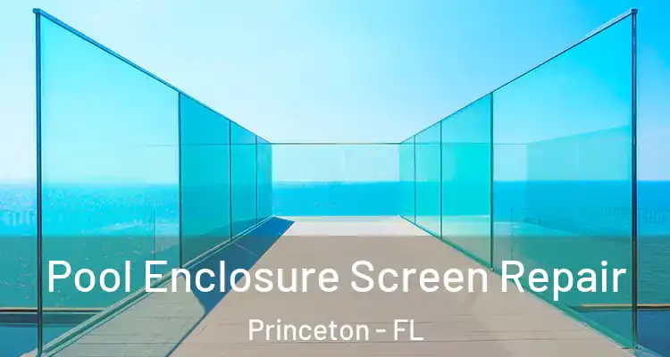  Pool Enclosure Screen Repair Princeton - FL