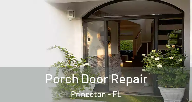  Porch Door Repair Princeton - FL