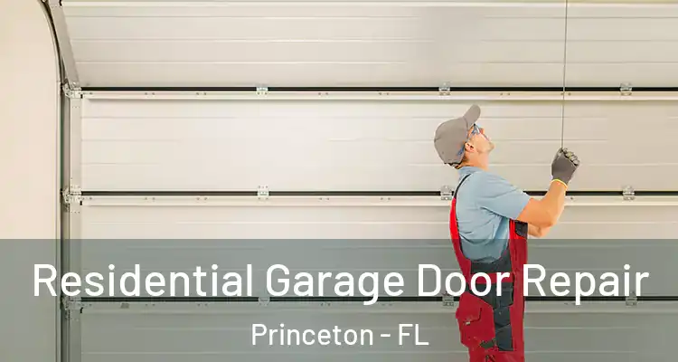  Residential Garage Door Repair Princeton - FL