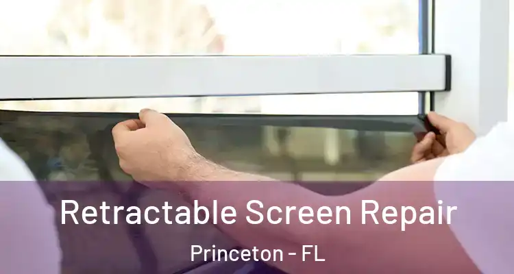  Retractable Screen Repair Princeton - FL