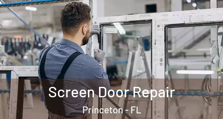  Screen Door Repair Princeton - FL
