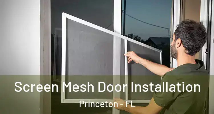  Screen Mesh Door Installation Princeton - FL