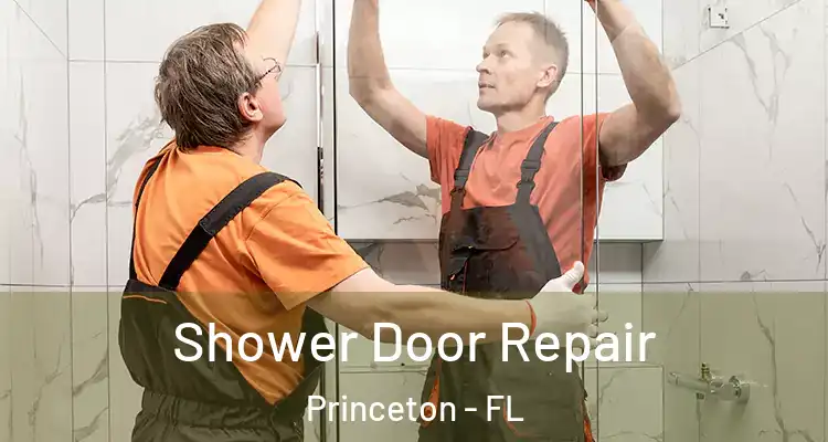  Shower Door Repair Princeton - FL