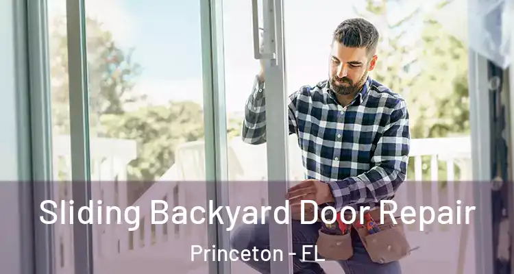  Sliding Backyard Door Repair Princeton - FL