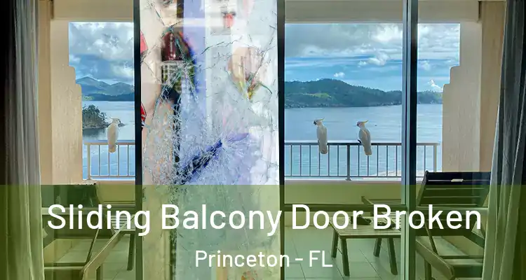 Sliding Balcony Door Broken Princeton - FL