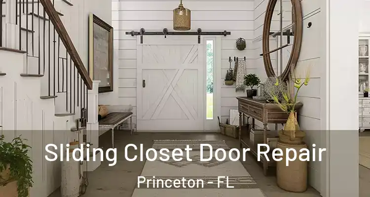  Sliding Closet Door Repair Princeton - FL
