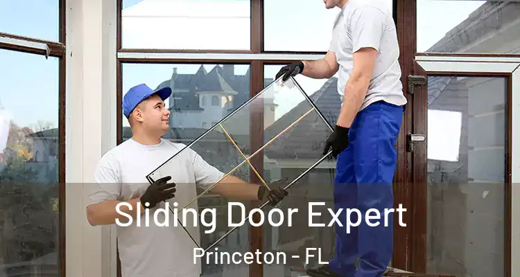  Sliding Door Expert Princeton - FL