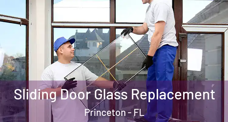  Sliding Door Glass Replacement Princeton - FL