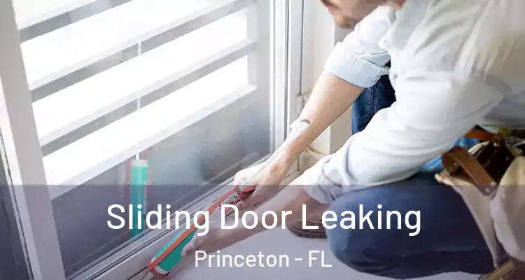  Sliding Door Leaking Princeton - FL
