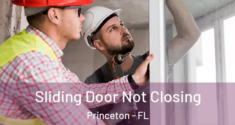  Sliding Door Not Closing Princeton - FL