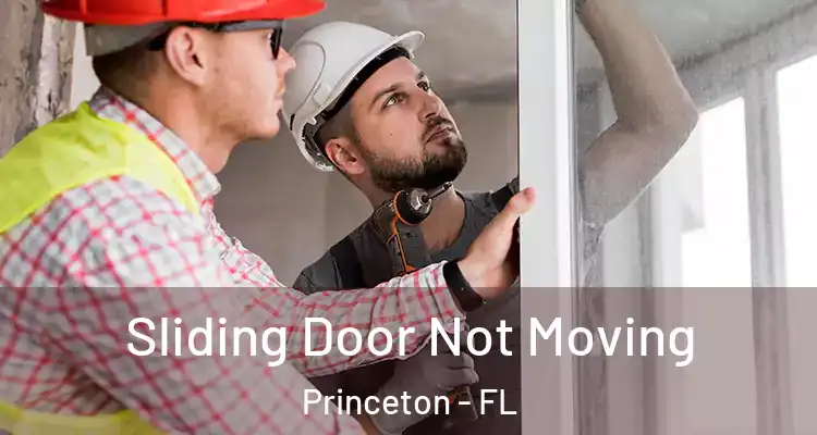  Sliding Door Not Moving Princeton - FL