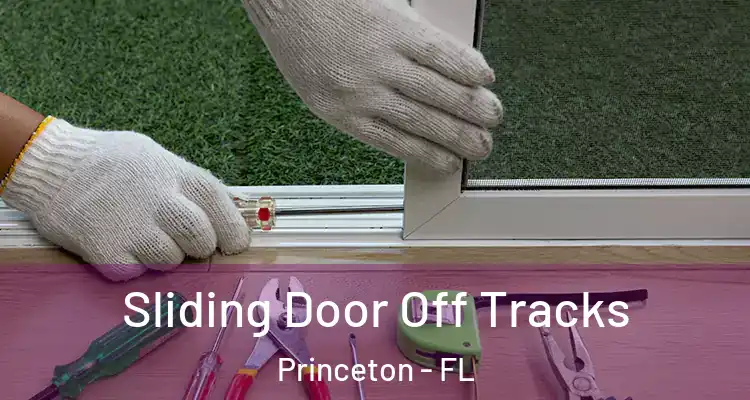  Sliding Door Off Tracks Princeton - FL