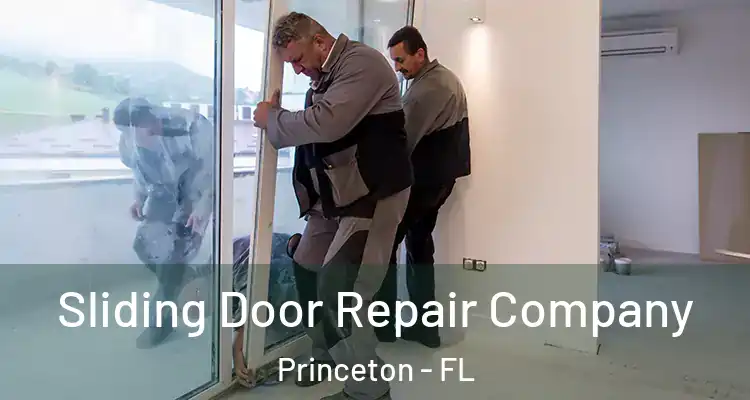  Sliding Door Repair Company Princeton - FL