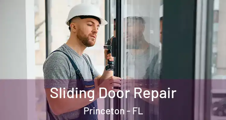  Sliding Door Repair Princeton - FL