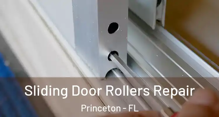  Sliding Door Rollers Repair Princeton - FL