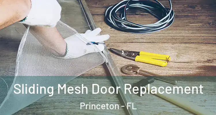  Sliding Mesh Door Replacement Princeton - FL