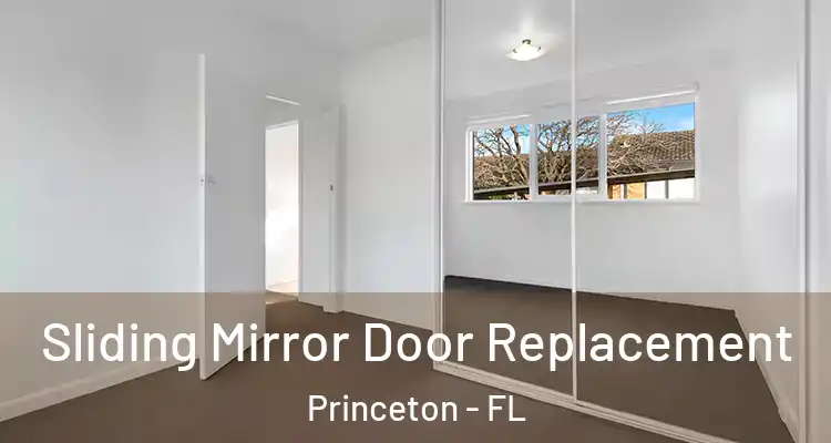  Sliding Mirror Door Replacement Princeton - FL